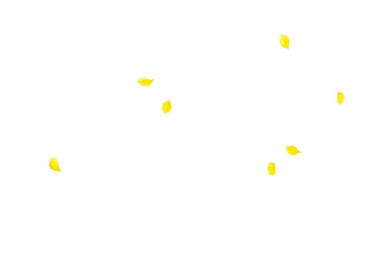 Fondo de pétalos de flores, Superposición, PNG, pez, bajo el agua, animal, naturaleza, agua, amarillo, ilustración, fondos, acuático