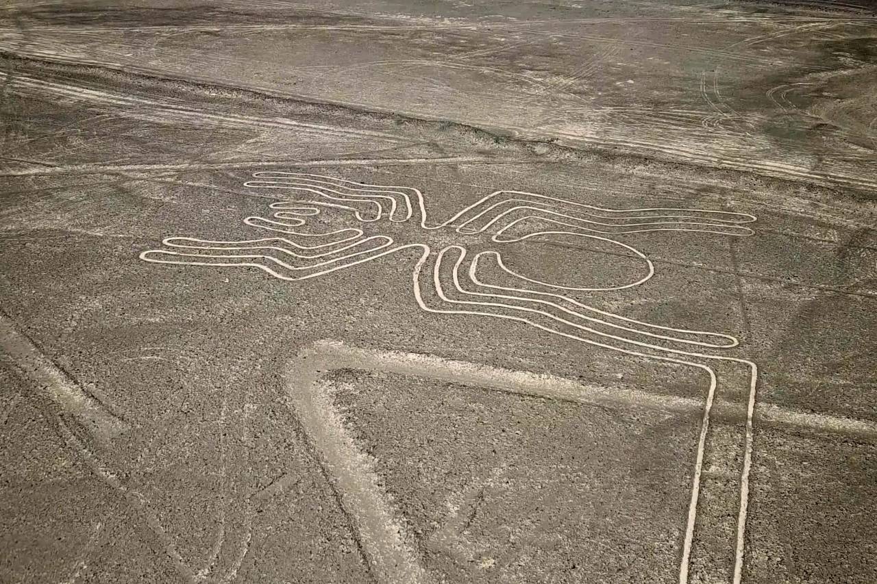 travel, peru, tourism, nazca, ancient, flight, aerial, landmark, landscape, view, mystery, desert, nature, nasca, destination, culture, lines, america, inca, design, geoglyphs, artistic, south, outdoor, arid, heritage, sand, scenery, mysterious, tour, famous, plane, scenic, line, animal, bird, airplane, peruvian, historic, monument, figures, old, abstract, natural, majestic, hummingbird, pampas, geoglyph, art, plateau, 
