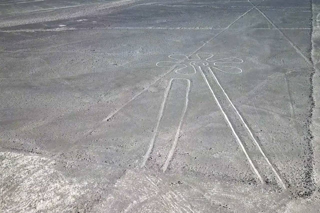 viajar, perú, turismo, nazca, antiguo, vuelo, aéreo, punto de referencia, paisaje, ver, misterio, desierto, naturaleza, nasca, destino, cultura, líneas, america, inca, diseño, geoglifos, artístico, sur, al aire libre, árido, patrimonio, arena, paisaje, misterioso, gira, famoso, avión, escénico, línea, animal, pájaro, avión, peruano, histórico, monumento, figuras, antiguo, abstracto, natural, majestuoso, colibrí, pampas, geoglifo, arte, meseta,