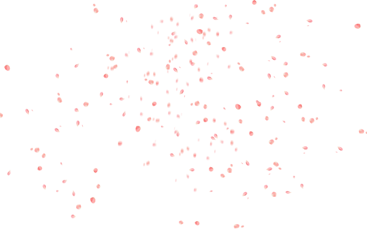 Fundo de pétalas de flores,Sobreposição,PNG,planos de fundo,vetor,ilustração,resumo,pano de fundo