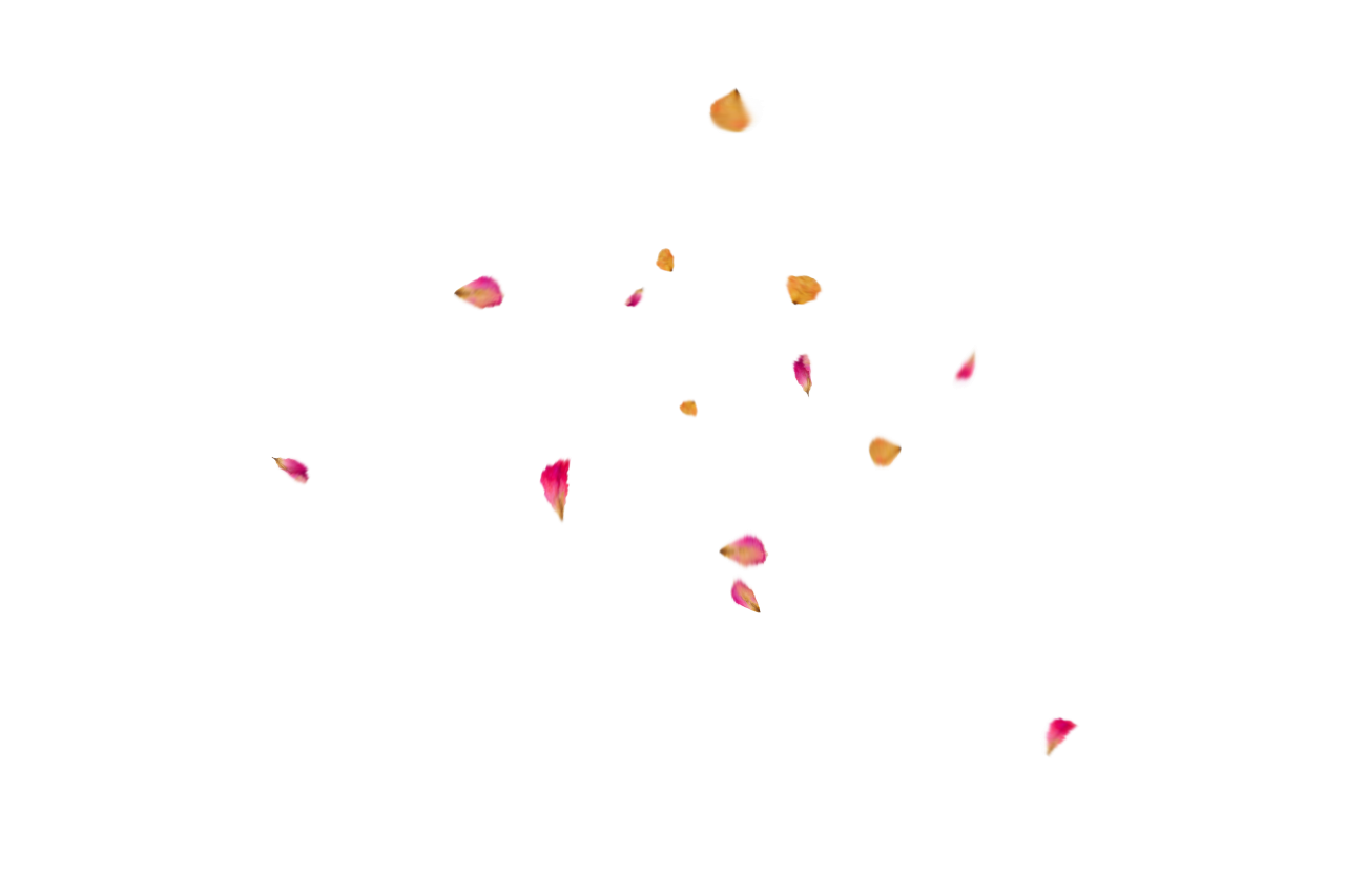 Fundo de pétalas de flores,Sobreposição,PNG,planos de fundo,resumo,multi colorido,padrão,natureza