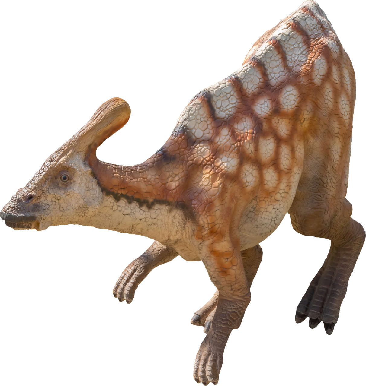  Dinosaur,Overlay,PNG,animal,nature,reptile,dinosaur
