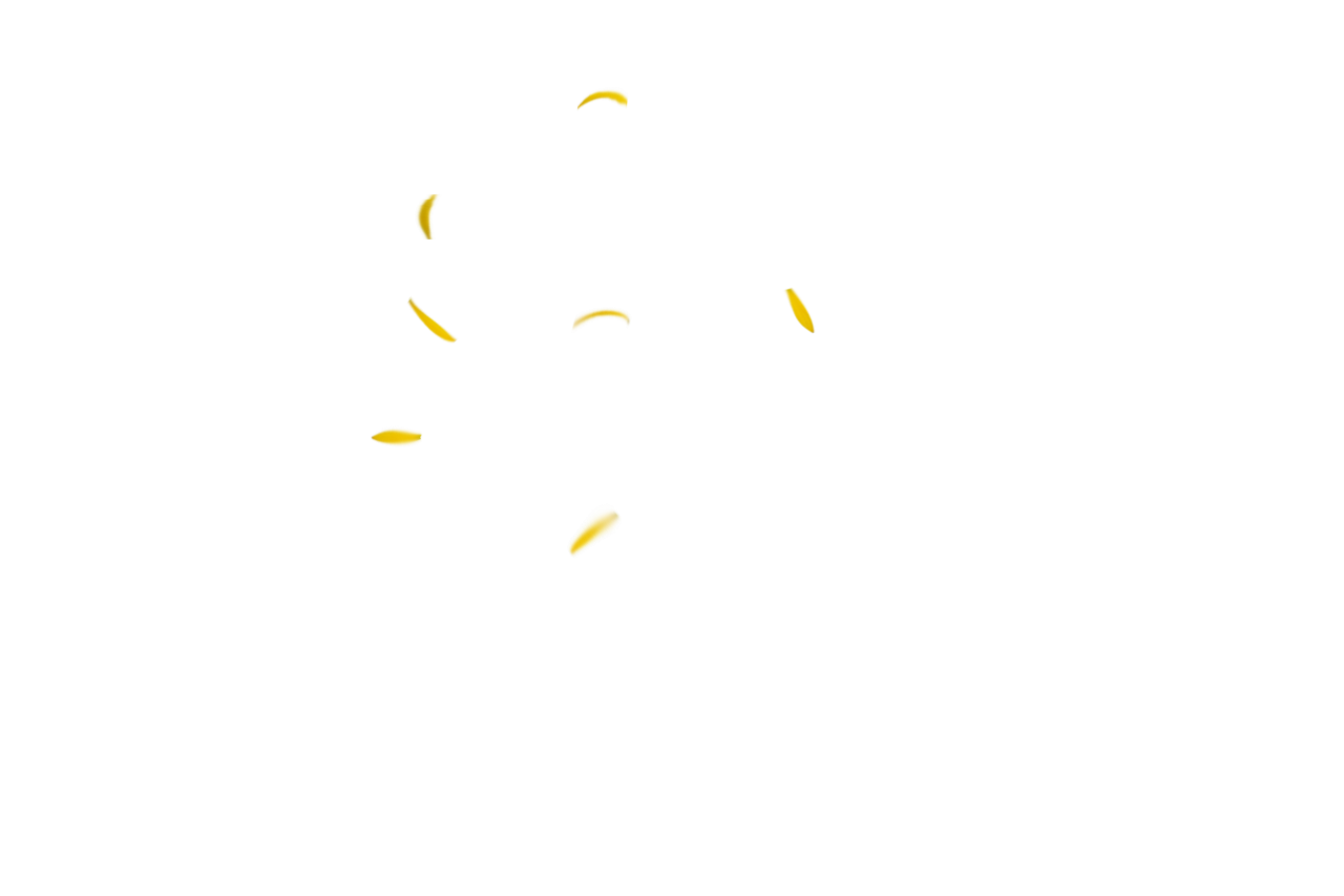 Fondo de pétalos de flores, Superposición, PNG, pez, naturaleza, animal, bajo el agua, agua, amarillo, fondos, acuático