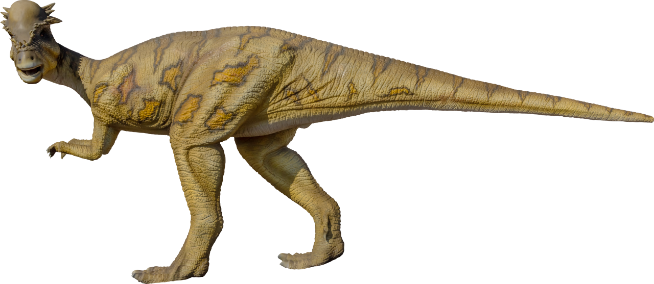  Dinosaur,Overlay,PNG,animal,illustration,nature,reptile
