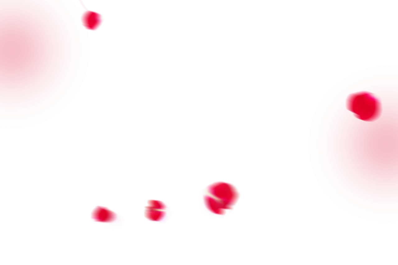  Flower Petals Background,Overlay,PNG,vector,illustration,design,backgrounds,pattern,abstract,symbol,collection