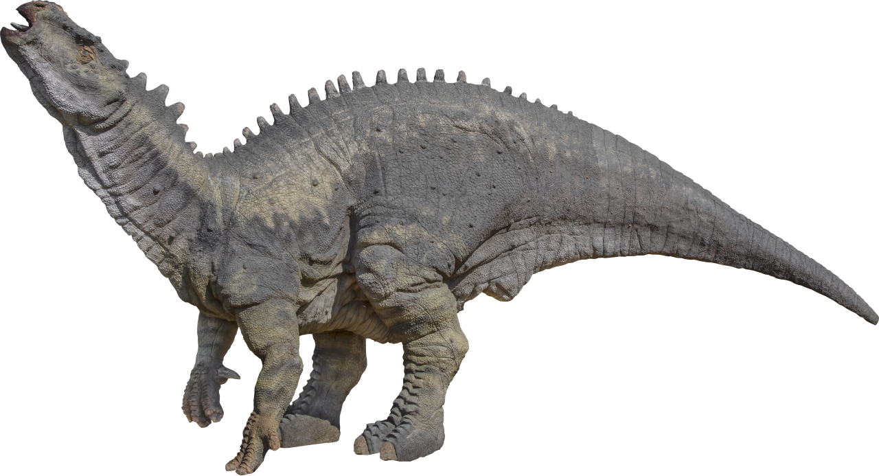  Dinosaur,Overlay,PNG,animal,reptile,dinosaur,illustration,extinct,nature