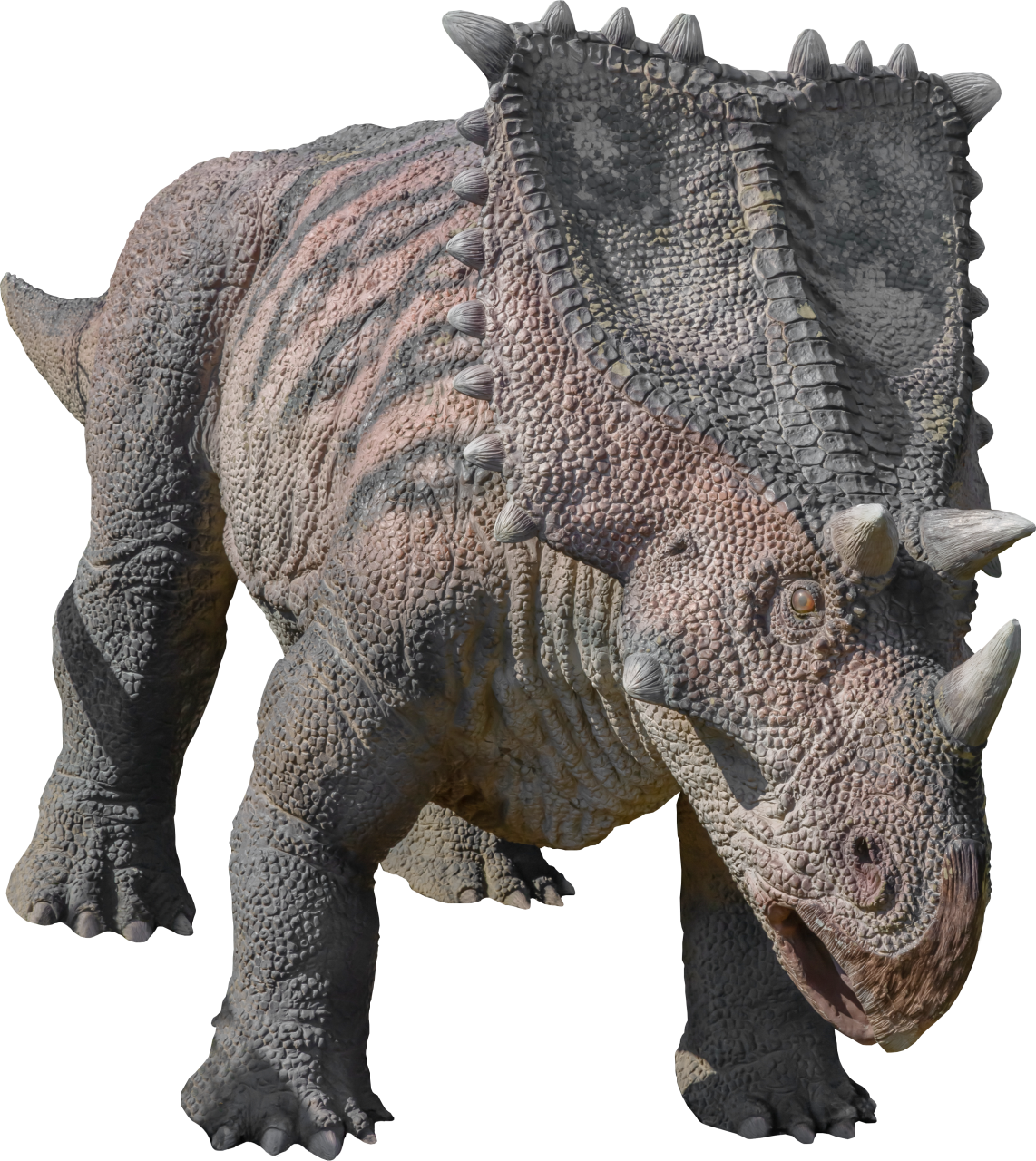  Dinosaur,Overlay,PNG,animal,reptile,nature,Triceratops