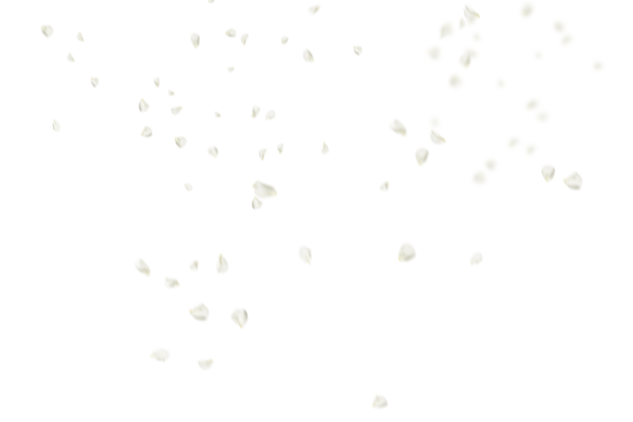  Flower Petals Background,Overlay,PNG,illustration,backgrounds,vector,design,symbol,pattern