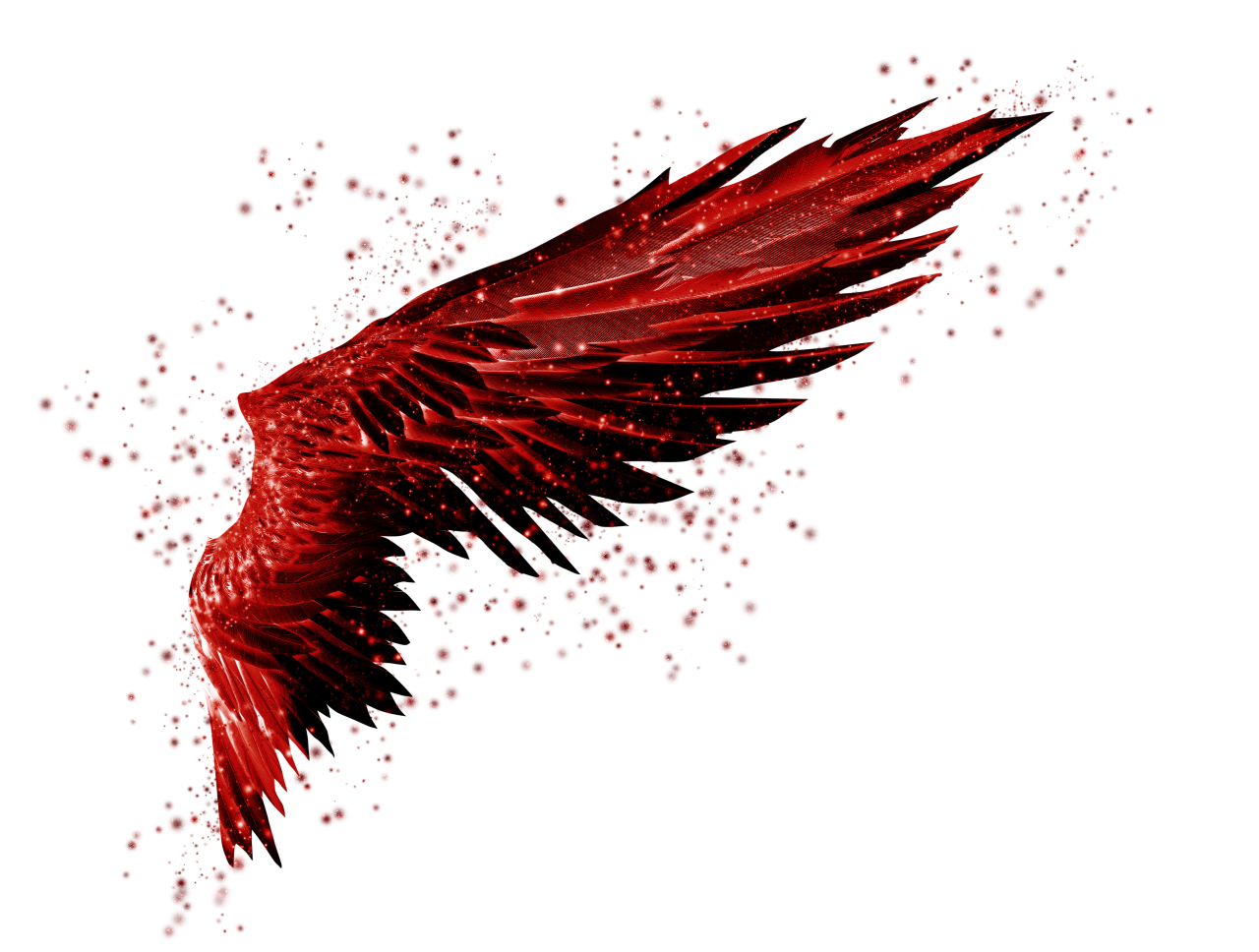 alas, Imágenes Prediseñadas, Superposición, PNG, Aislado, fondo blanco, ala, decoración, volar, decorativo, máscara, elemento, animal, detalle, ángel, fantástico, encantar