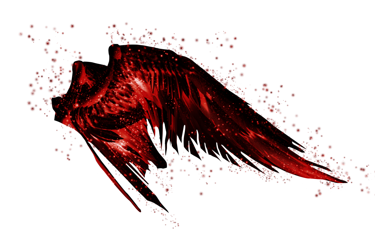  wings, Clipart, Overlay, PNG, Isolated, white background, wing, decoration, fly, decorative, mask, element, animal, detail, angel, fantastic, enchant