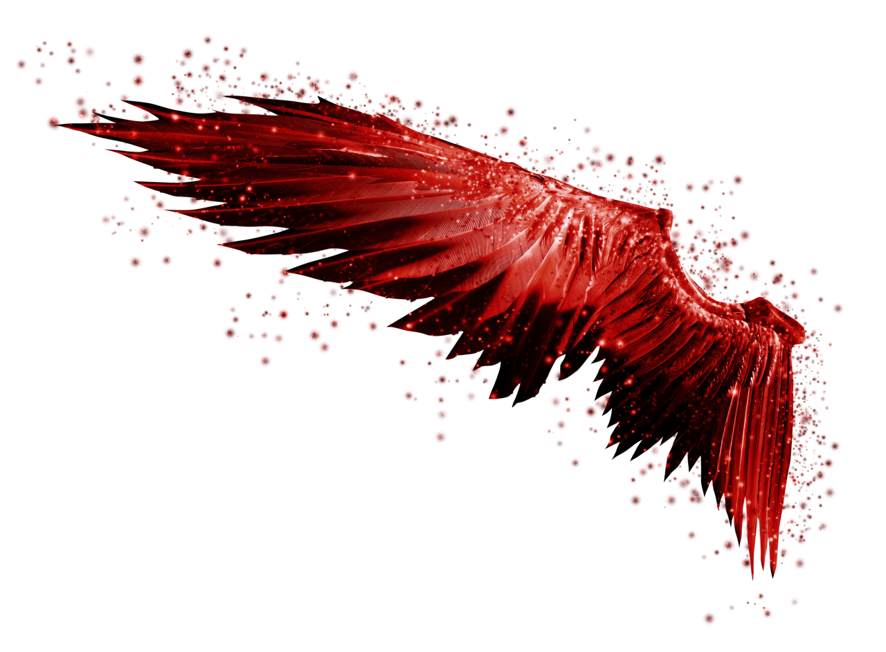  wings, Clipart, Overlay, PNG, Isolated, white background, wing, decoration, fly, decorative, mask, element, animal, detail, angel, fantastic, enchant