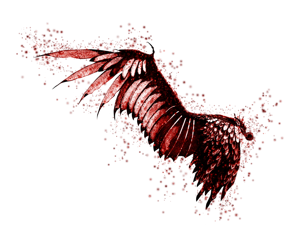 alas, Imágenes Prediseñadas, Superposición, PNG, Aislado, fondo blanco, ala, decoración, volar, decorativo, máscara, elemento, animal, detalle, ángel, fantástico, encantar