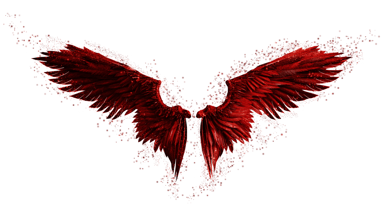 🥇 Image of Wings Clipart Overlay PNG - 【FREE PHOTO】 100035860