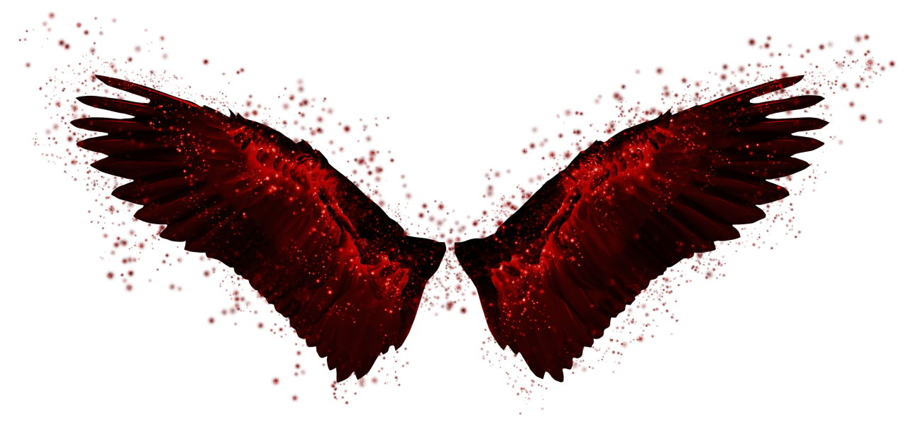  wings, Clipart, Overlay, PNG, Isolated, white background, wing, decoration, fly, decorative, mask, element, animal, detail, angel, fantastic, enchant