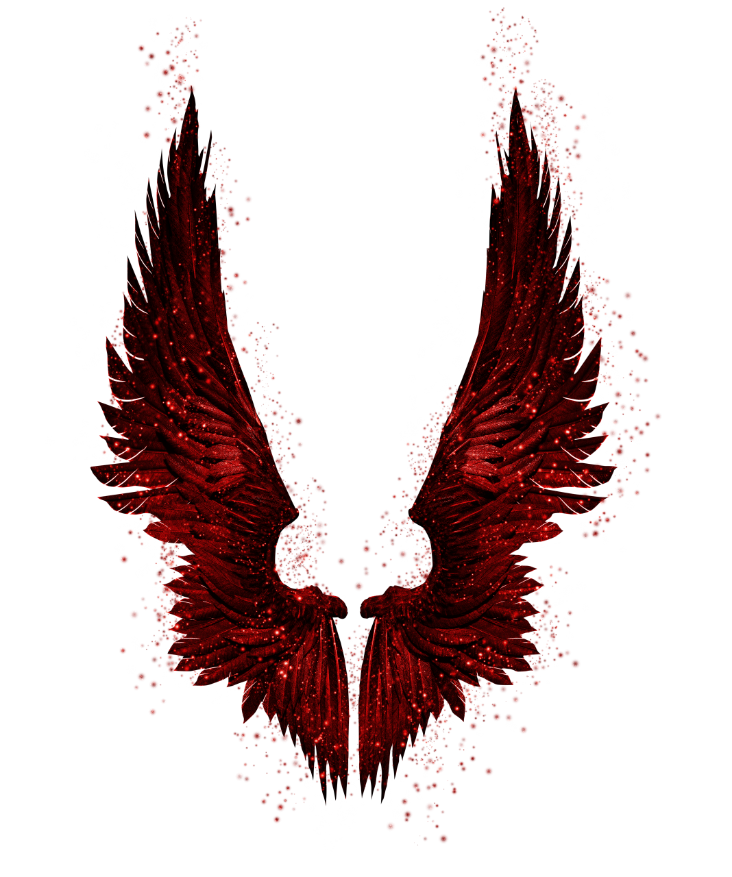  wings, Clipart, Overlay, PNG, Isolated, white background, wing, decoration, fly, decorative, mask, element, animal, detail, angel, fantastic, enchant