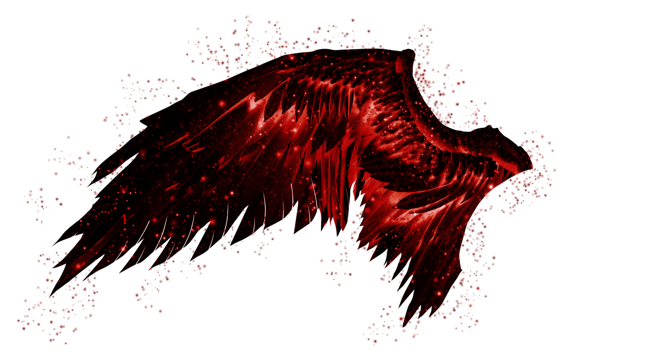  wings, Clipart, Overlay, PNG, Isolated, white background, wing, decoration, fly, decorative, mask, element, animal, detail, angel, fantastic, enchant
