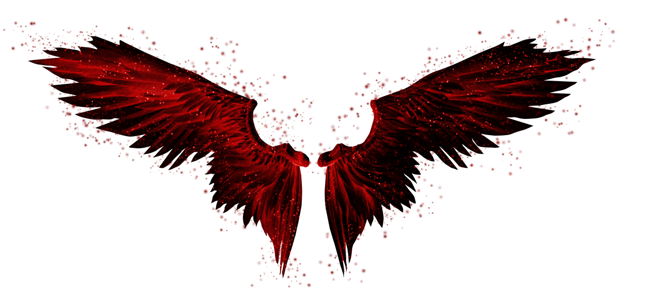 asas, Clipe, Sobreposição, PNG, Isolado, fundo branco, asa, decoração, voar, decorativo, mascarar, elemento, animal, detalhe, anjo, fantástico, encantar