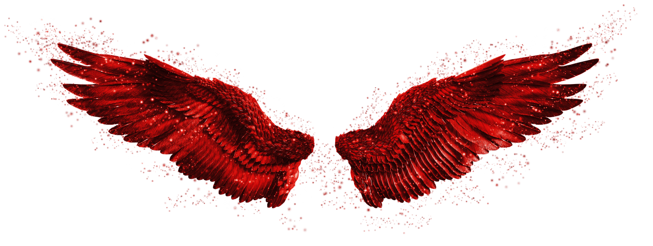 asas, Clipe, Sobreposição, PNG, Isolado, fundo branco, asa, decoração, voar, decorativo, mascarar, elemento, animal, detalhe, anjo, fantástico, encantar