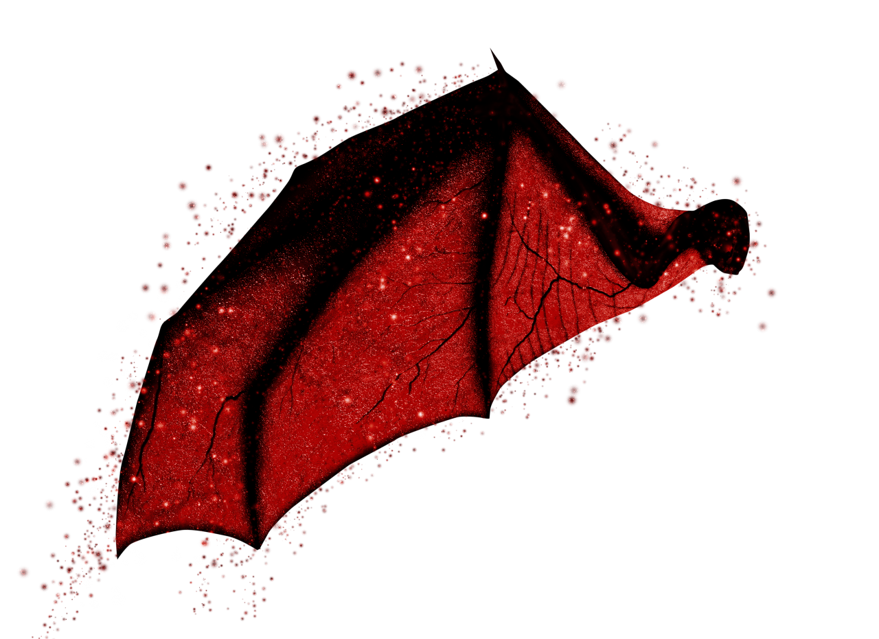  wings, Clipart, Overlay, PNG, Isolated, white background, wing, decoration, fly, decorative, mask, element, animal, detail, angel, fantastic, enchant, bat, devil