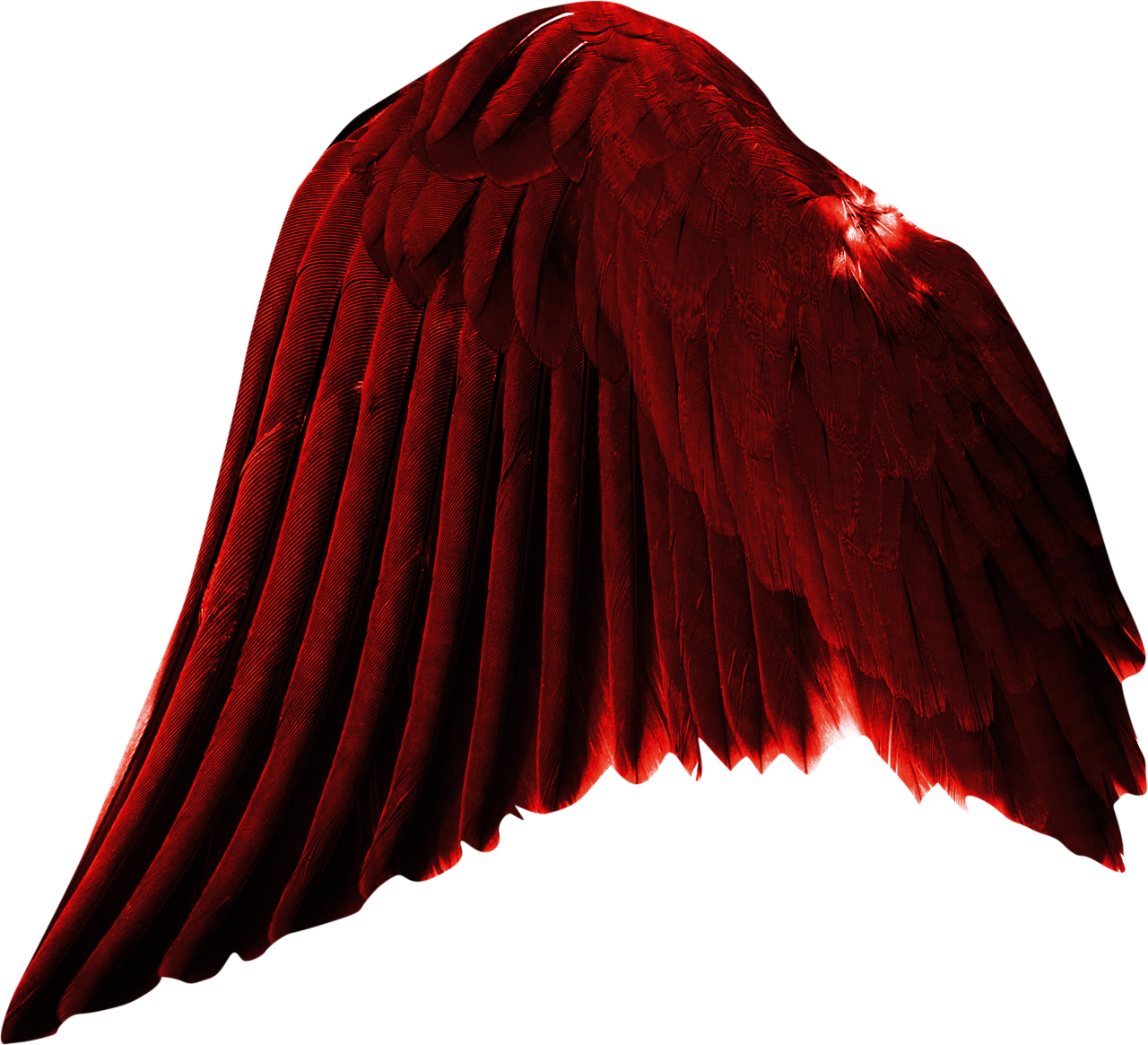  wings, Clipart, Overlay, PNG, Isolated, white background, wing, decoration, fly, decorative, mask, element, animal, detail, angel, fantastic, enchant