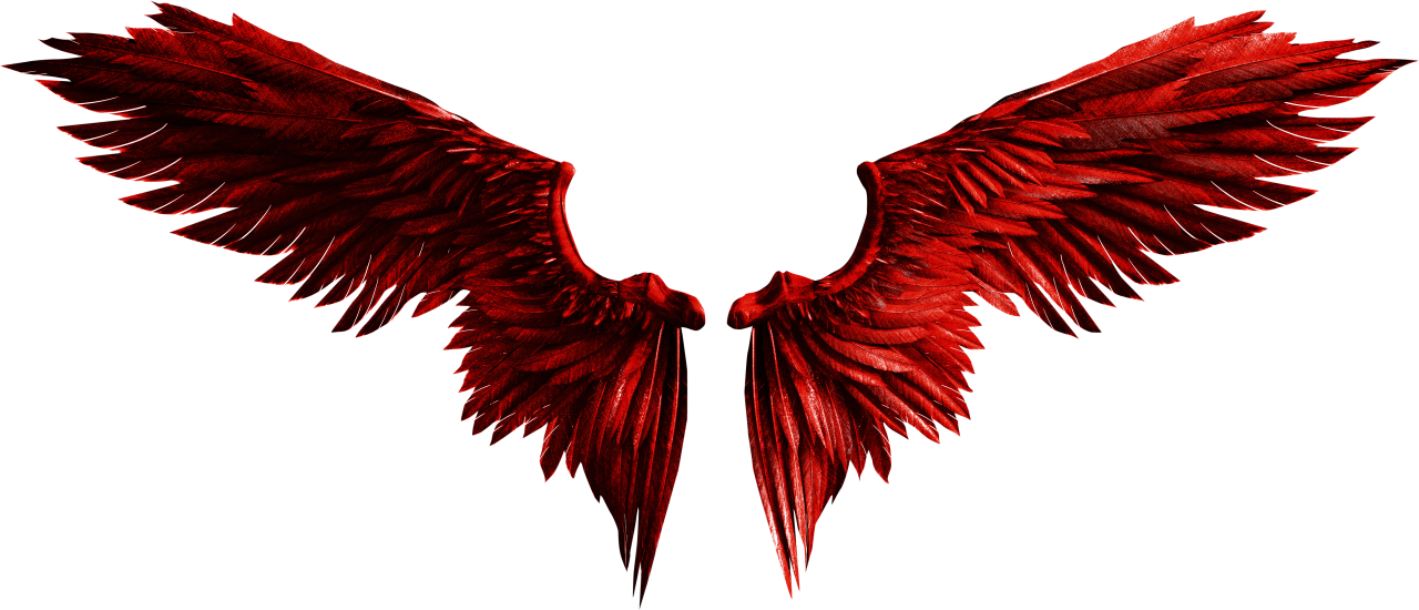  wings, Clipart, Overlay, PNG, Isolated, white background, wing, decoration, fly, decorative, mask, element, animal, detail, angel, fantastic, enchant
