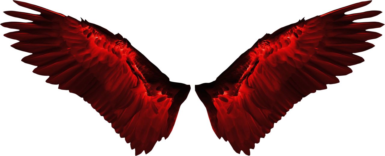  wings, Clipart, Overlay, PNG, Isolated, white background, wing, decoration, fly, decorative, mask, element, animal, detail, angel, fantastic, enchant