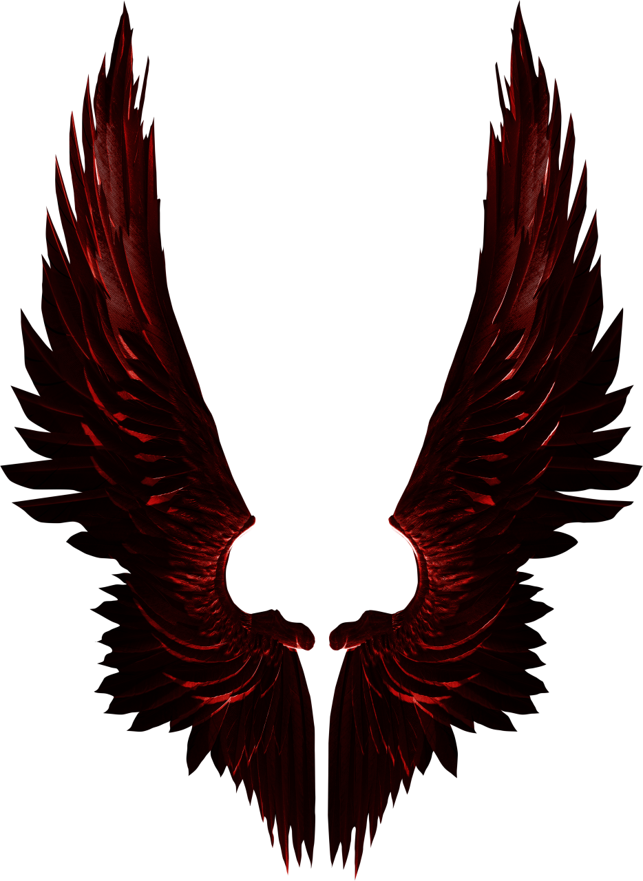  wings, Clipart, Overlay, PNG, Isolated, white background, wing, decoration, fly, decorative, mask, element, animal, detail, angel, fantastic, enchant