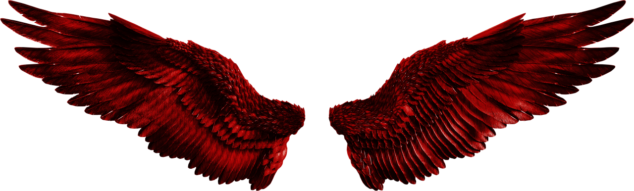  wings, Clipart, Overlay, PNG, Isolated, white background, wing, decoration, fly, decorative, mask, element, animal, detail, angel, fantastic, enchant