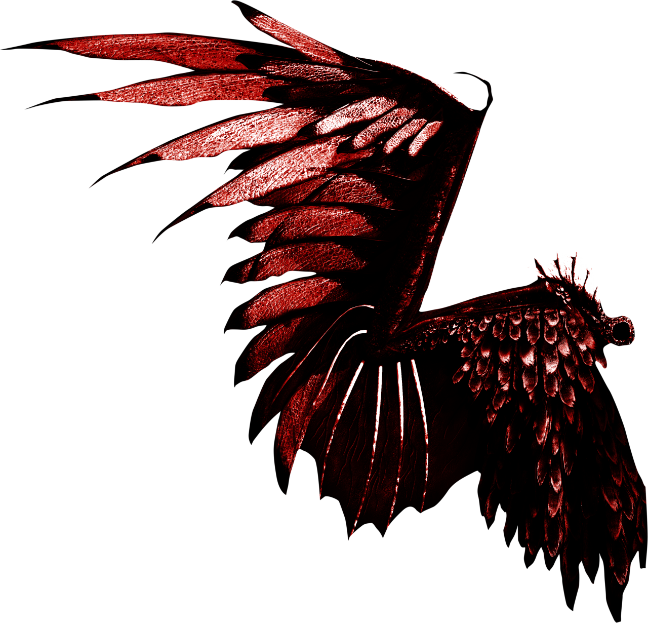  wings, Clipart, Overlay, PNG, Isolated, white background, wing, decoration, fly, decorative, mask, element, animal, detail, angel, fantastic, enchant