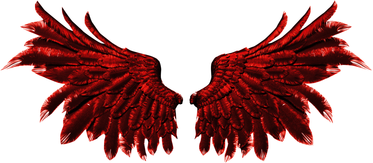 🥇 Image of Wings Clipart Overlay PNG - 【FREE PHOTO】 100035904