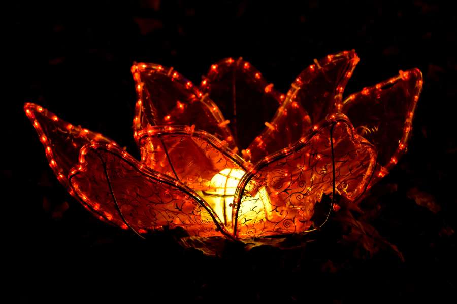 artwork, lamp, light, lily pad, red, stained 