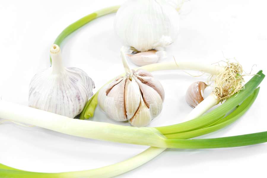 antibacterial, antioxidant, aroma, garlic 