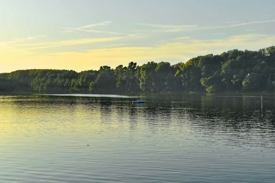 boat, horizon, lakeside, morning, lake 
