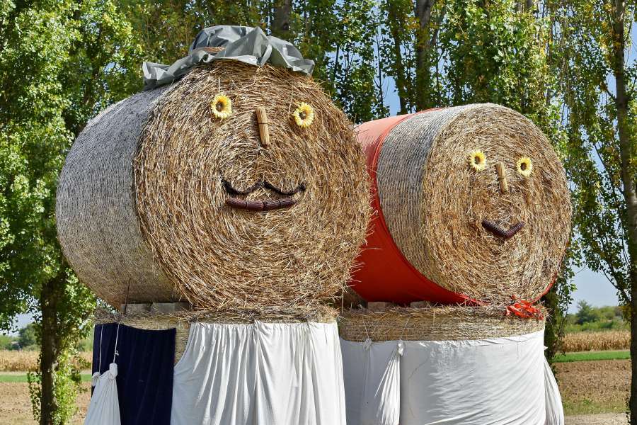 armor, hay, nature, straw, rural, outdoors 