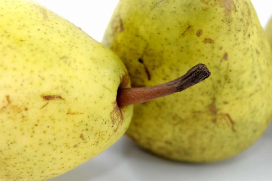 close-up, organic, pears, food, pear 