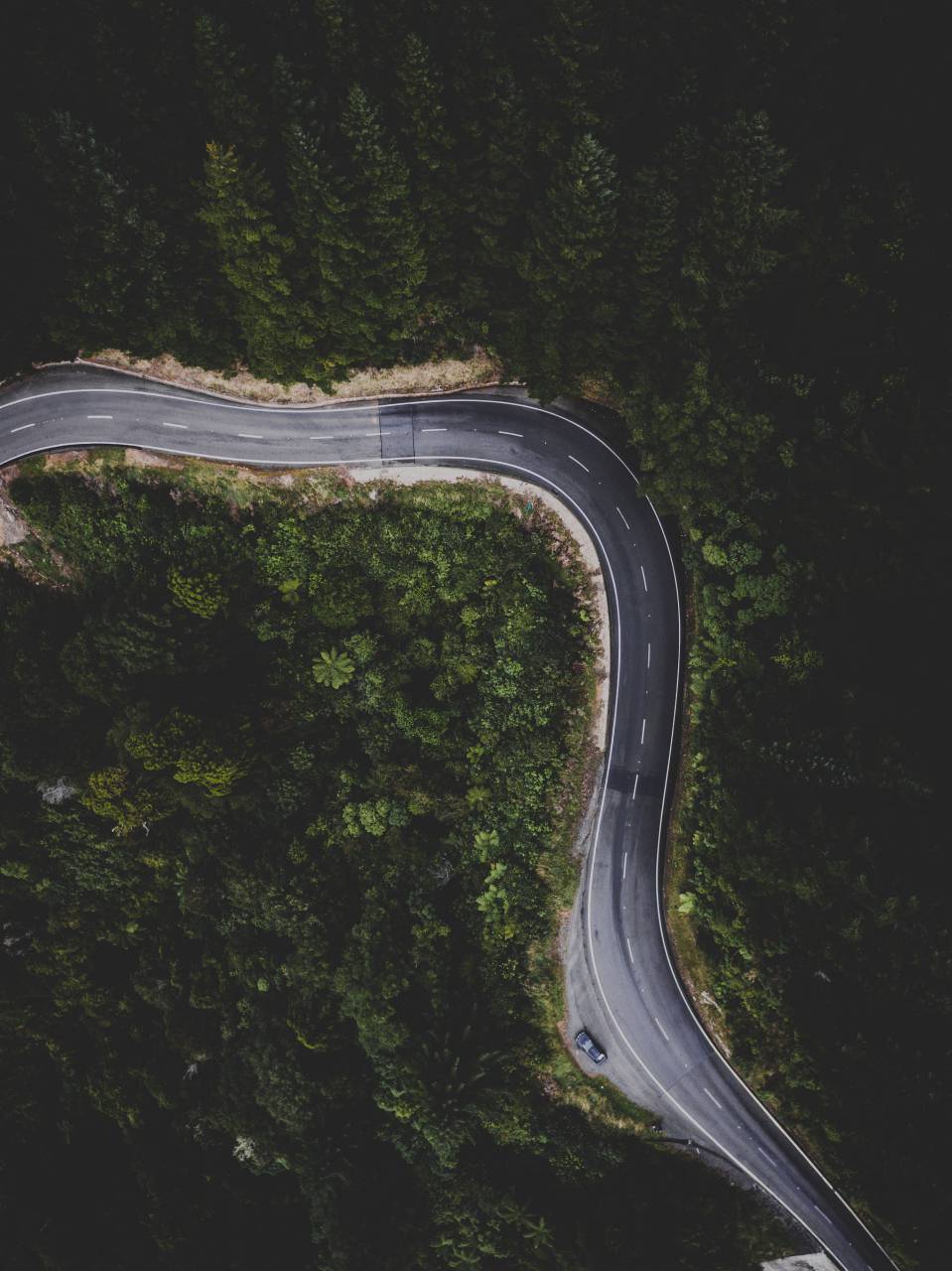 car, vehicle, travel, road, trip, outdoor, green, trees, plants, forest, nature, aerial, view
, 