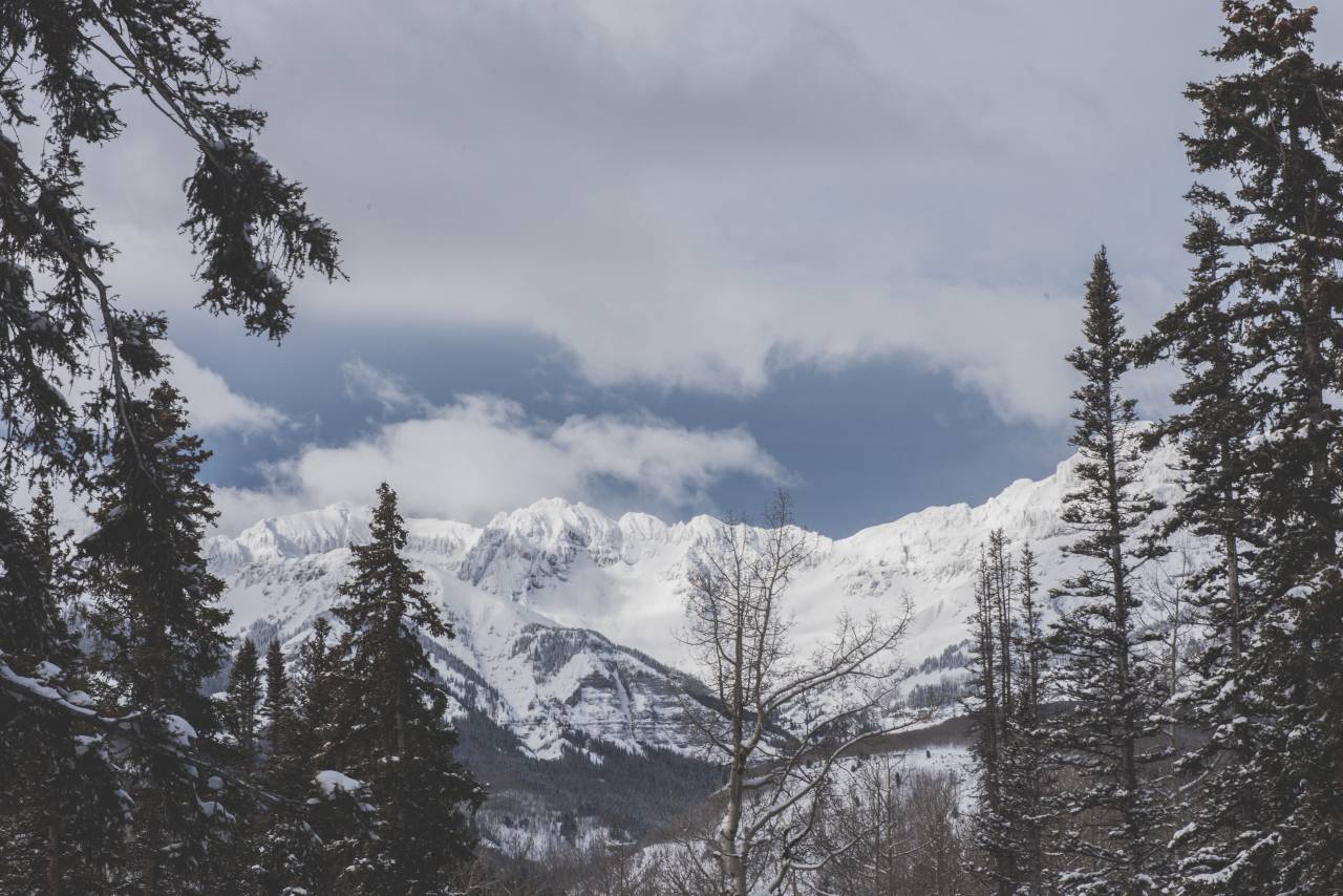 trees, snow, winter, fog, mountains, travel, trip, adventure, nature, pine, clouds, sky, forest, landscape, peaks, summit, white
, 