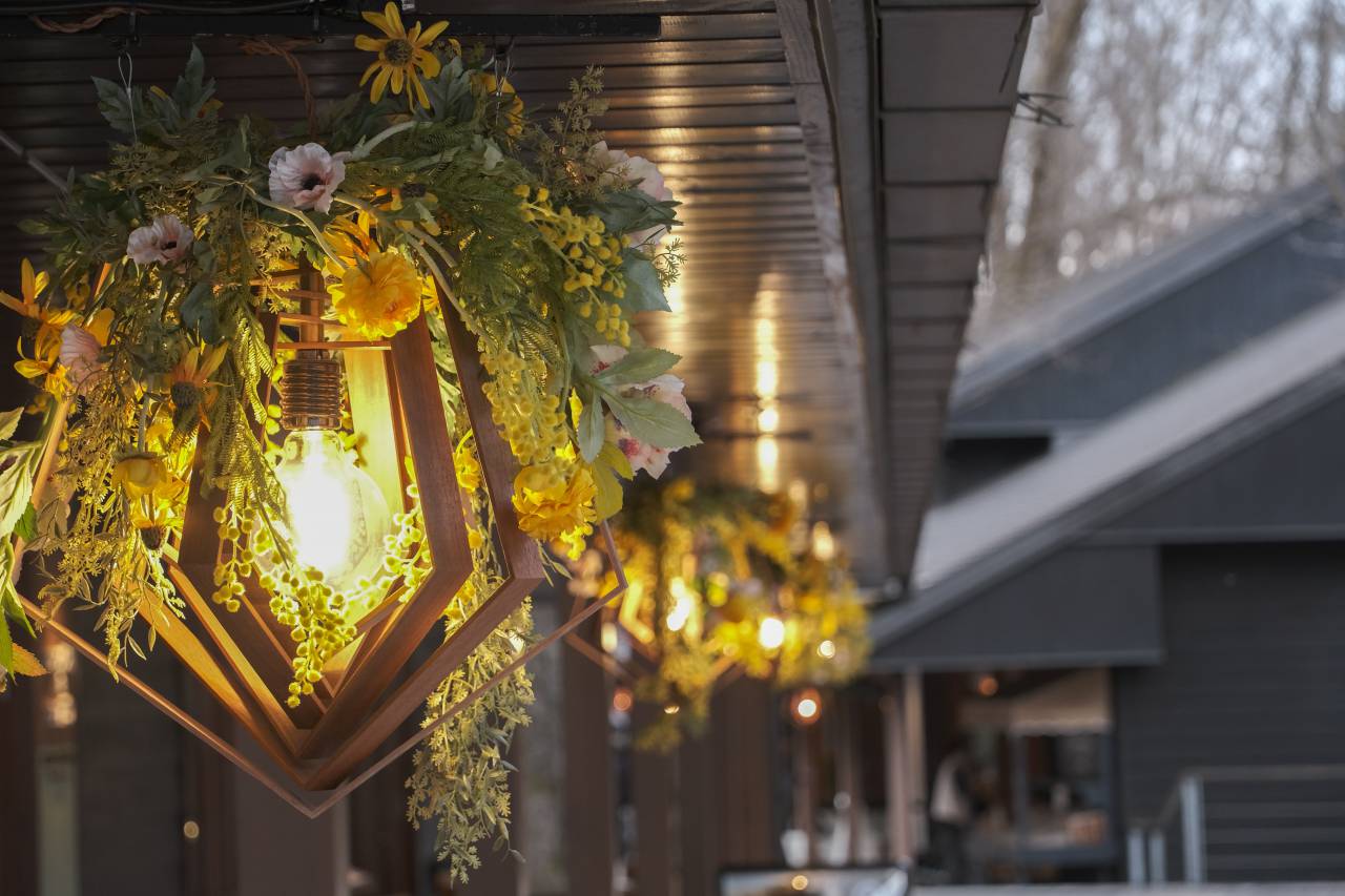 jardín;luz,decoración,invierno,fiesta,noche,iluminado,temporada,árbol,