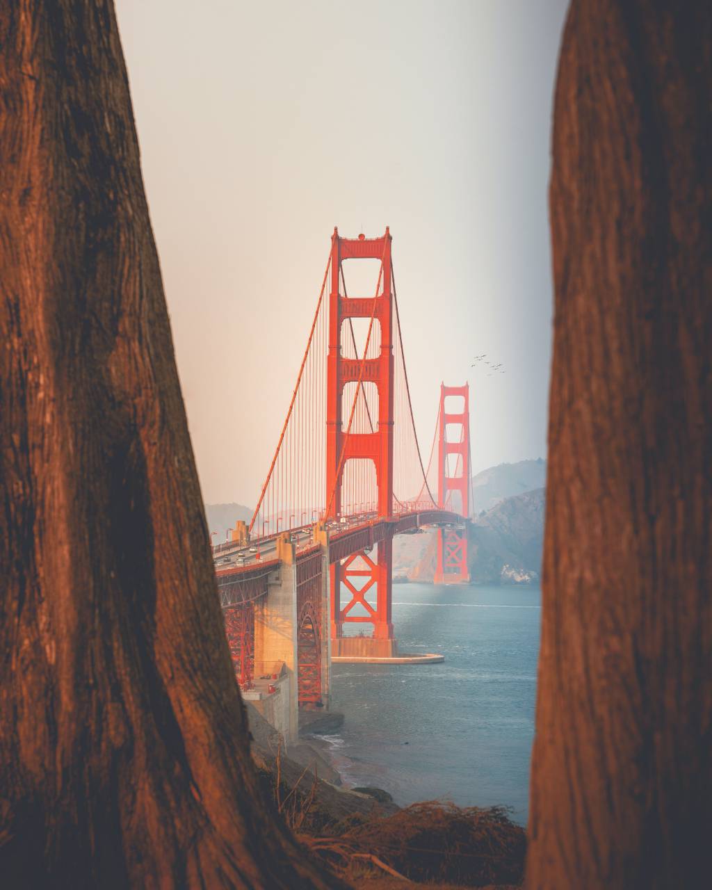 face,famous place,bridge,man made structure,water,nature,outdoors,architecture,travel,suspension bridge, 