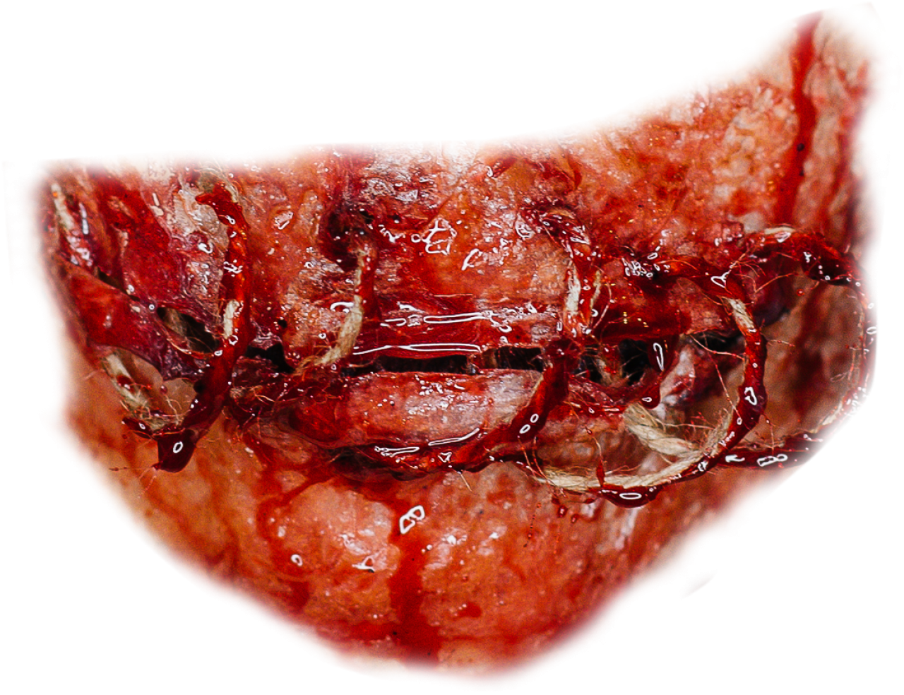  zombie,mouth,overlay,png,close-up,food,backgrounds,gourmet,freshness,dessert,fruit,sweet food,refreshment,drop,meal
