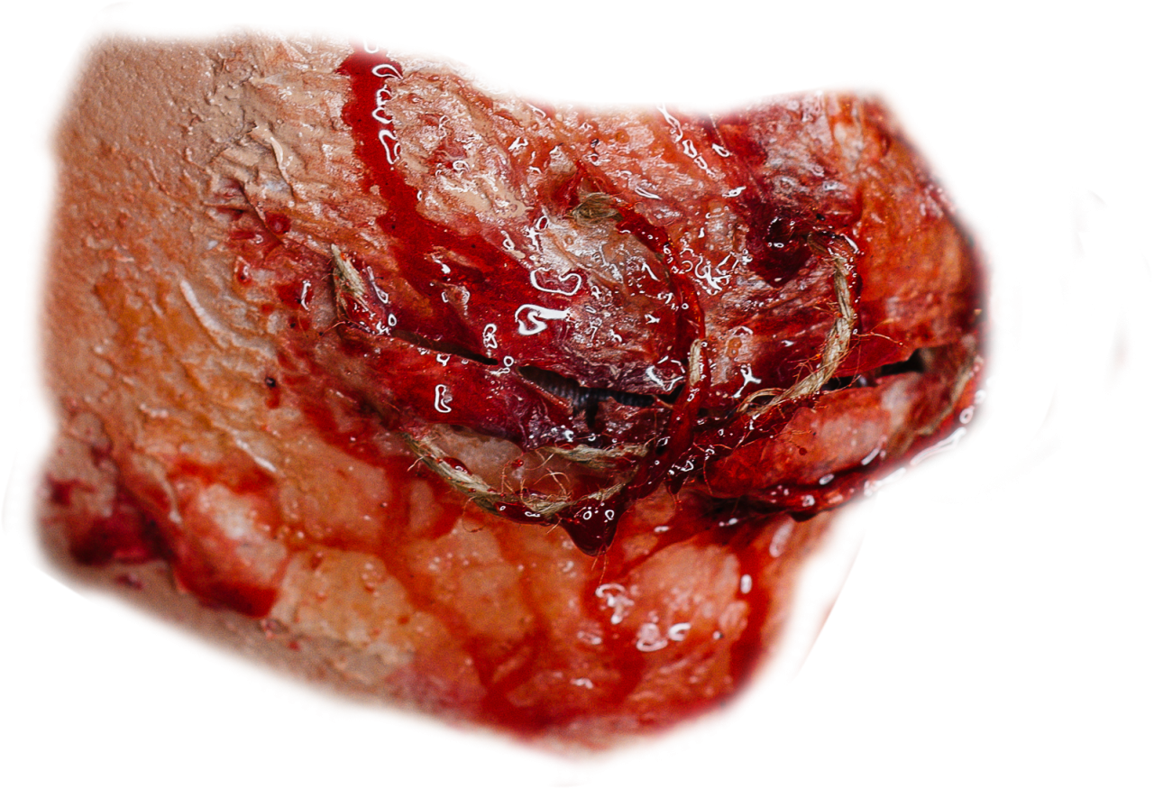  zombie,wound,halloween,overlay,png,close-up,food,gourmet,freshness,meat,pork,dessert,sweet food,refreshment,fruit,meal,backgrounds,cooking