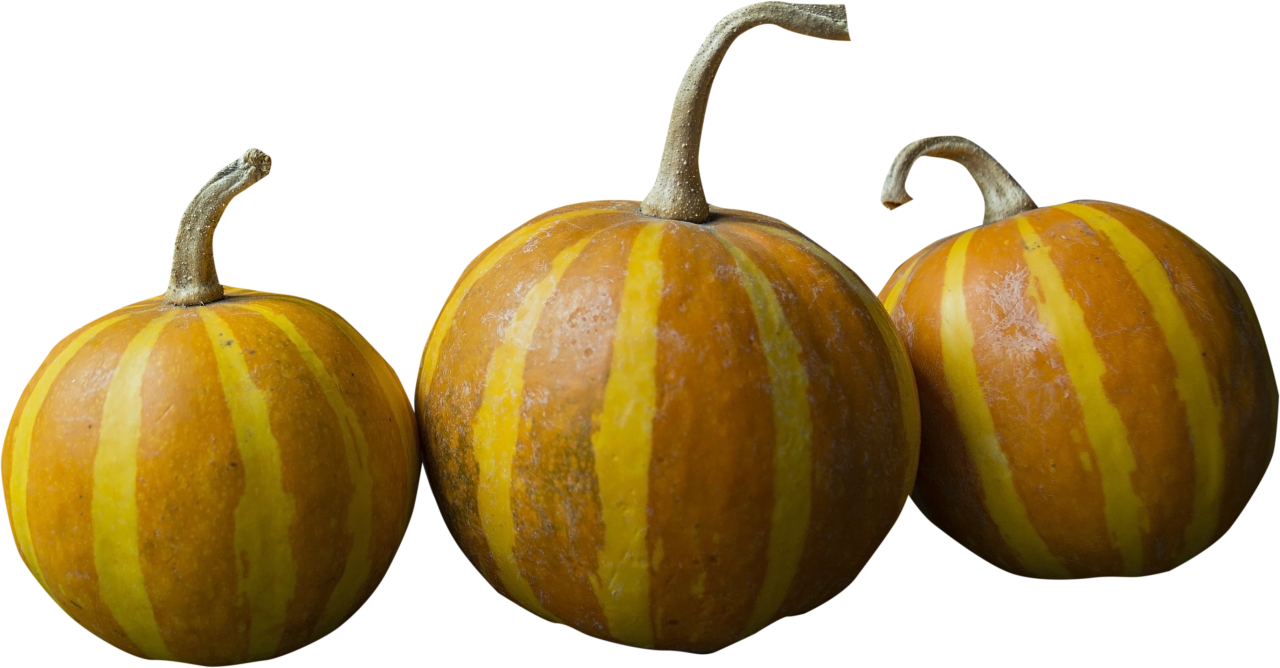  pumpking,overlay,png,pumpkin,autumn,halloween,vegetable,october,nature,gourd,agriculture,yellow,season,decoration,leaf,squash,close-up,wood,material,freshness,organic,backgrounds,ripe,food,multi colored,november,plant,farm,vegetarian food