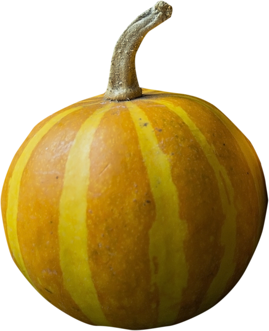 pumpking,overlay,png,pumpkin,halloween,autumn,october,vegetable,season,nature,yellow,gourd,decoration,agriculture,leaf,squash,close-up,food,freshness,organic,ripe,backgrounds,fruit,outdoors
