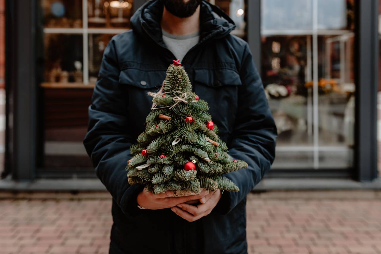 árbol, fiesta, decoración, celebracion, Navidad, nadie, temporada, Navidad, fondo, pino, verde, árbol de Navidad, festivo, regalo, año, diseño, ornamento, nuevo, Año nuevo, brillante, casa, tradicion, celebrar, pino Árbol, rama, nadie, decoración, color, espacio de copia, rojo, florido, abeto, decoración navideña, colorido, horizontal, madera, imagen en color,