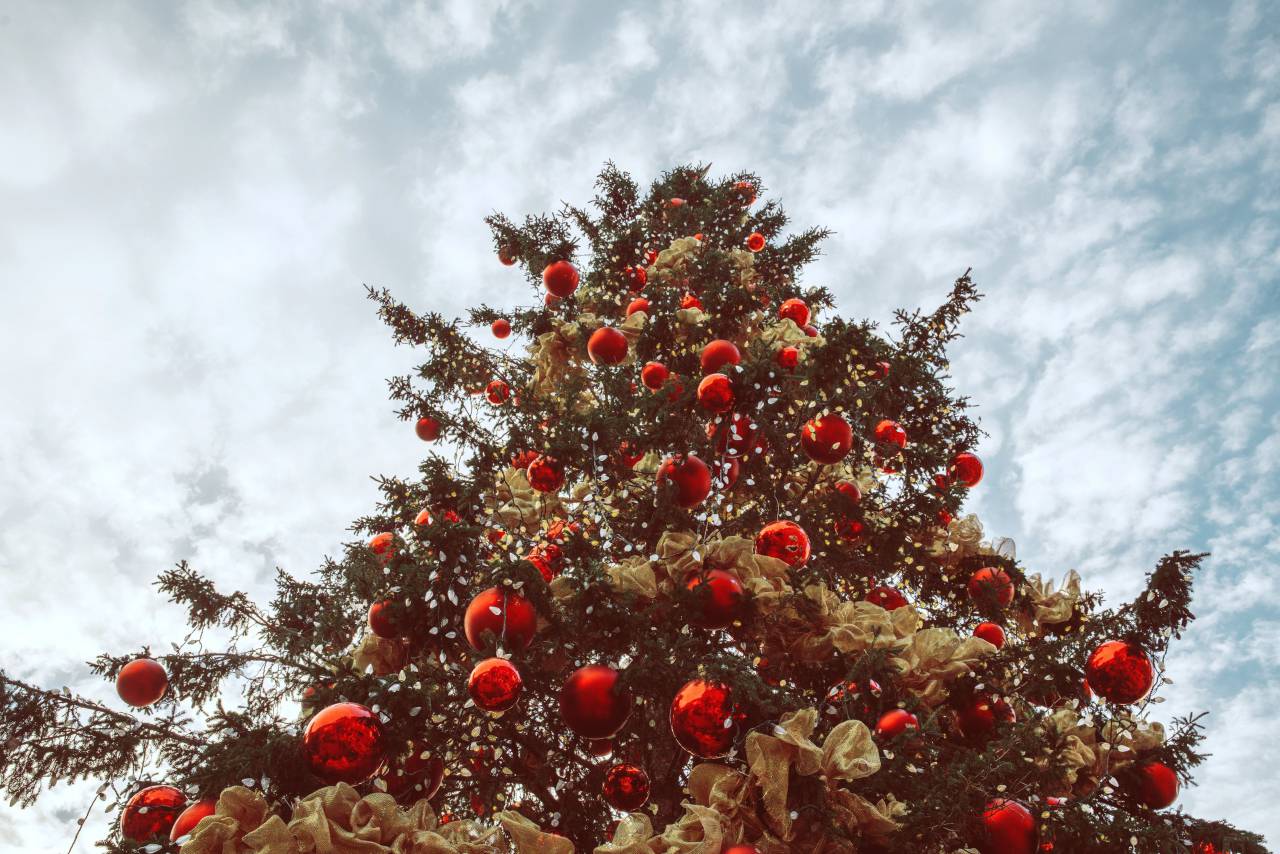 tree, holiday, decoration, celebration, christmas, no people, season, xmas, background, pine, green, christmas tree, festive, gift, year, design, ornament, new, new year, bright, home, tradition, celebrate, pine tree, branch, nobody, decor, color, copy space, red, ornate, fir, christmas decoration, colorful, horizontal, wood, color image, 