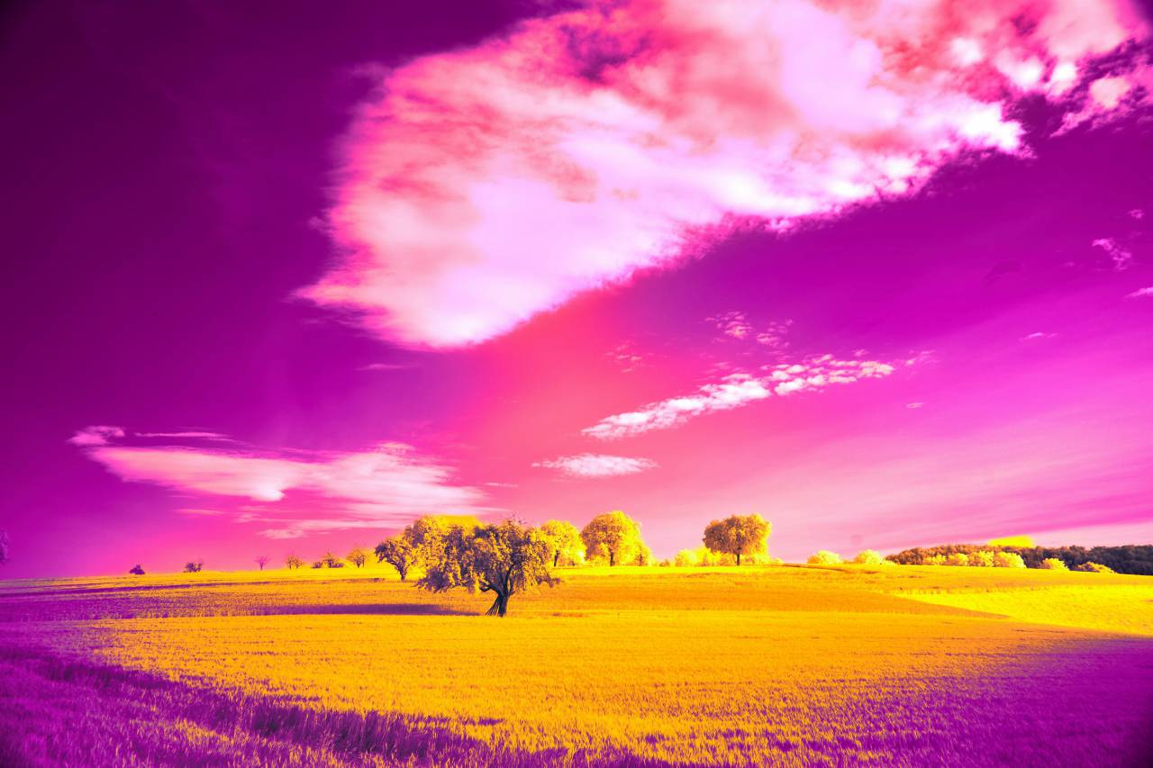 purple;landscape;thermal camera,nature,sunset,rural scene,landscape,meadow,outdoors,summer,farm,cloud,sky,dusk,agriculture,sun,tree,beauty in nature,non-urban scene,land,grass,blue,sunlight,sunrise,dawn,dawn,season,plant,purple,springtime,idyllic, 