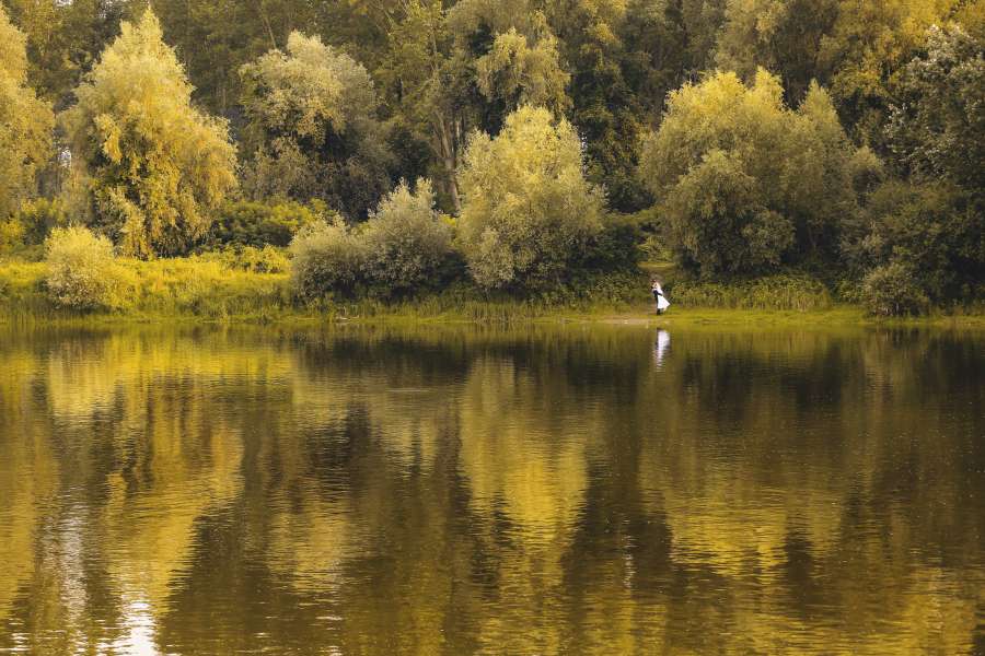 novia, parque nacional, río, orilla del río
