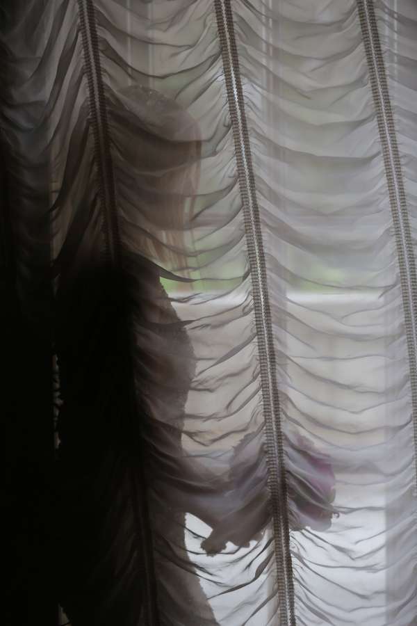 bride, curtain, alone, pretty girl, shadow 