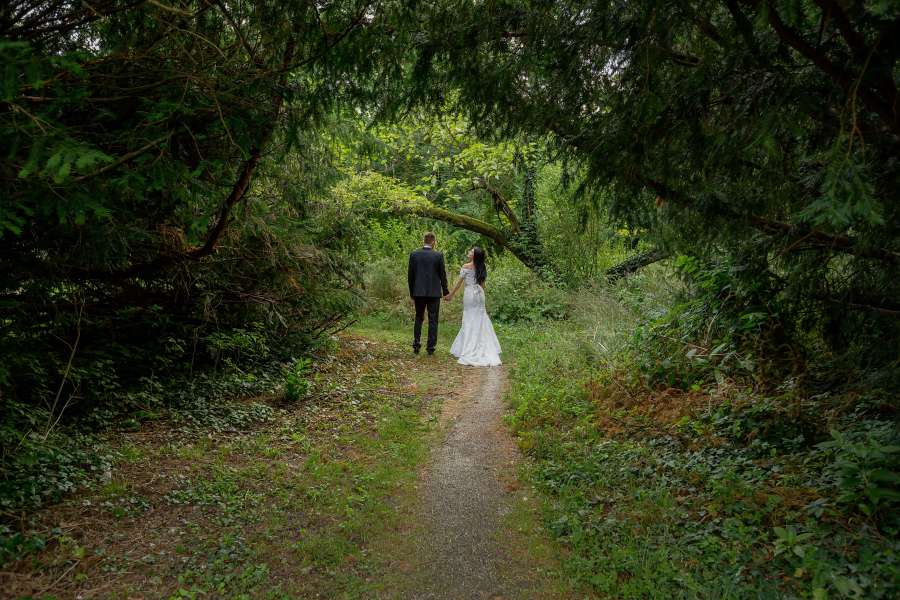 pista forestal, novia, novio, árbol, niña, madera