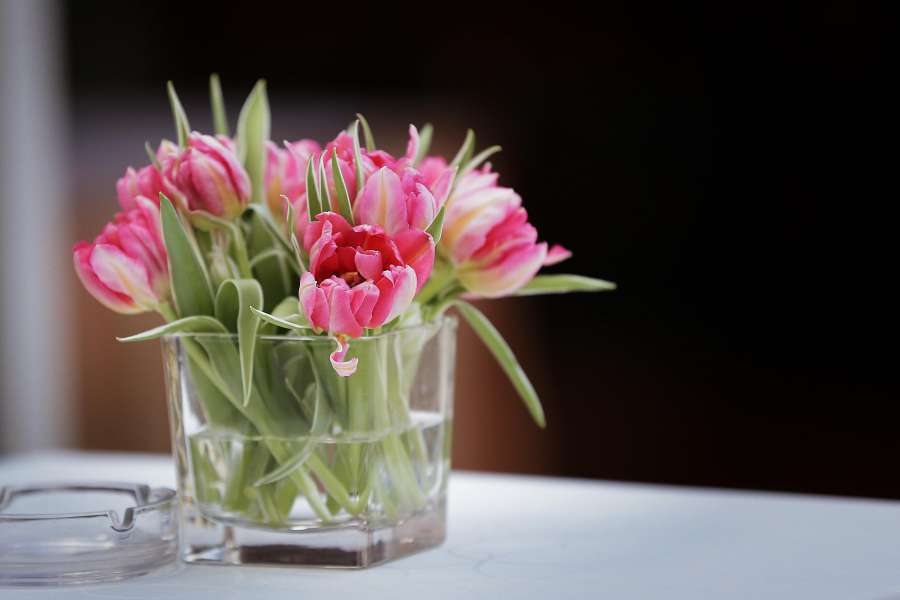 tulips, vase, ashtray, tablecloth, elegance 